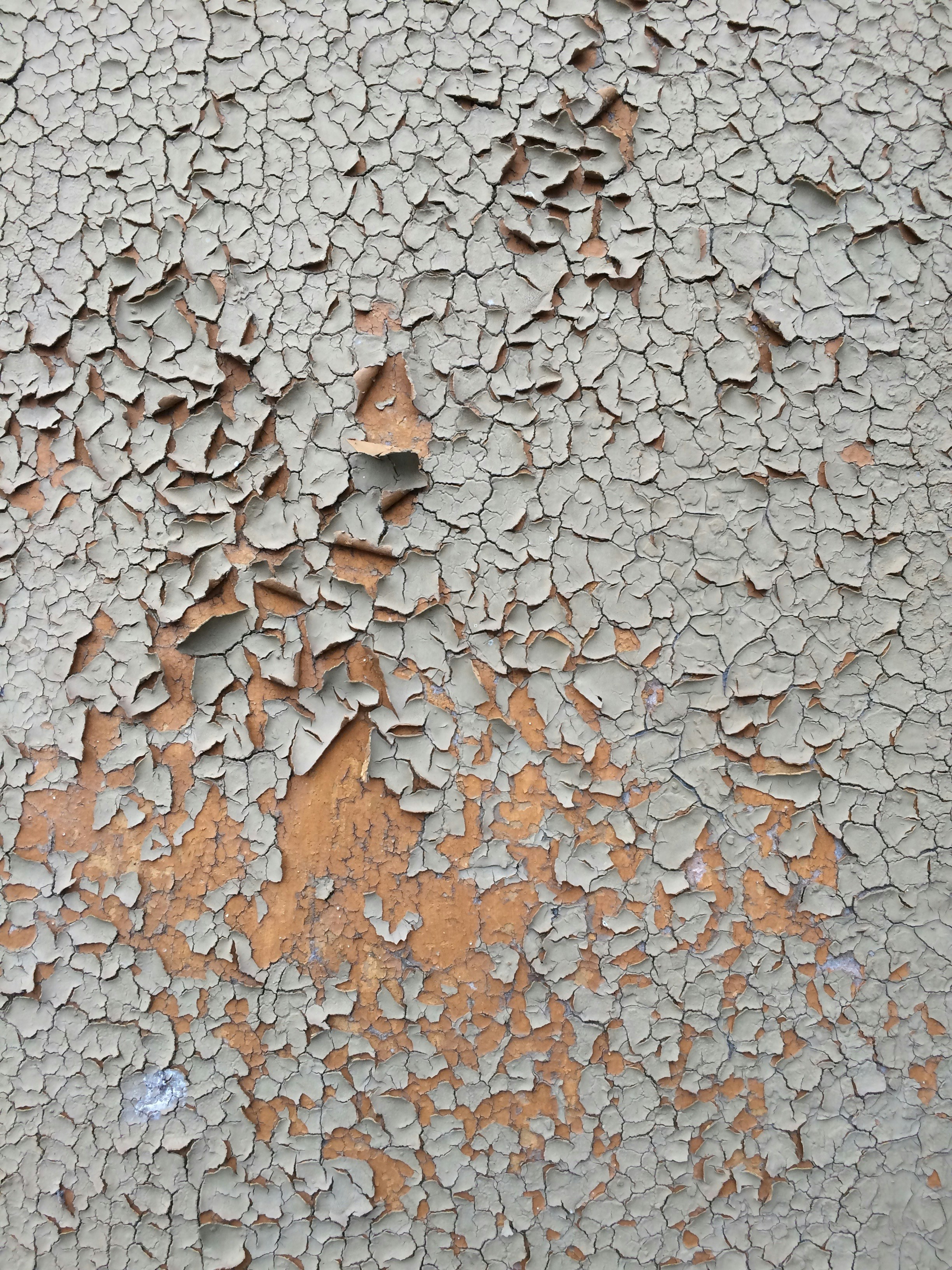 ¿Cómo Saber si mi Cuadro Necesita una Restauración? 5 Señales de Alerta